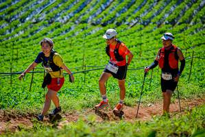 BIB: 1596
                            <button type="button" onclick="openModal(19163833)" class="btn btn-primary btn-sm float-right btn-popup" data-toggle="modal" data-target=".modal-high-quality">
                        <i class="fas fa-shopping-cart"></i> Add to Cart
                    </button>
                                            <button type="button" onclick="isThisMe(19163833, true)" class="btn btn-success btn-sm float-right btn-popup btn-isme hidden" data-toggle="tooltip" data-placement="bottom" title="นี่คือรูปของคุณใช่ไหม คลิกที่นี่เพื่อเอาเข้าอัลบั้ม">
                        <i class="fas fa-plus"></i> Add to album
                    </button>
                    <button type="button" onclick="isThisMe(19163833, false)" class="btn btn-warning btn-sm float-right btn-popup btn-isnotme hidden">
                        <i class="fas fa-ban"></i> Remove from album
                    </button>